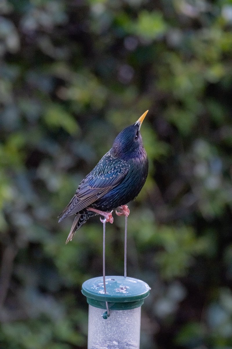 Simon Folkard tweet media