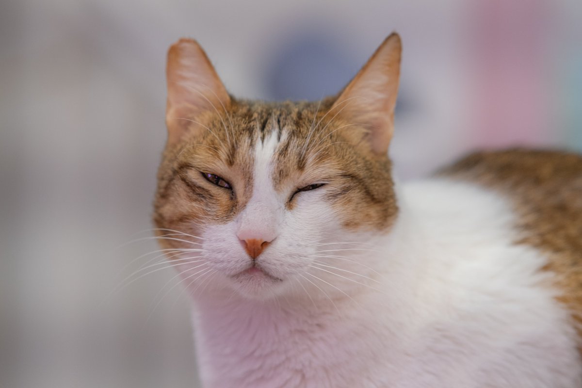 Simon Folkard tweet media