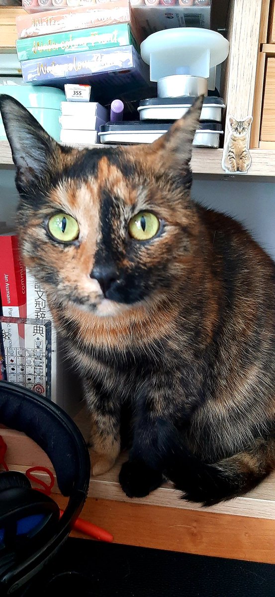 You are my greatest love tweet media