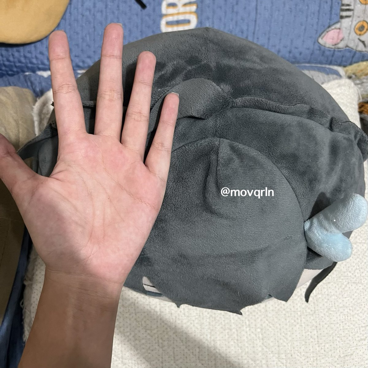 นานวยนานะ 🪼＊*อ่านใบโอก่อนทักน้า*＊ tweet media