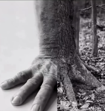 Curiosity tweet media