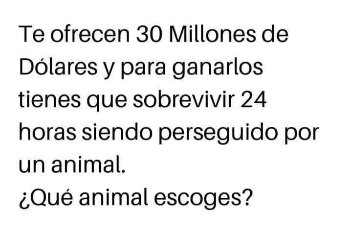 JustVíC tweet media