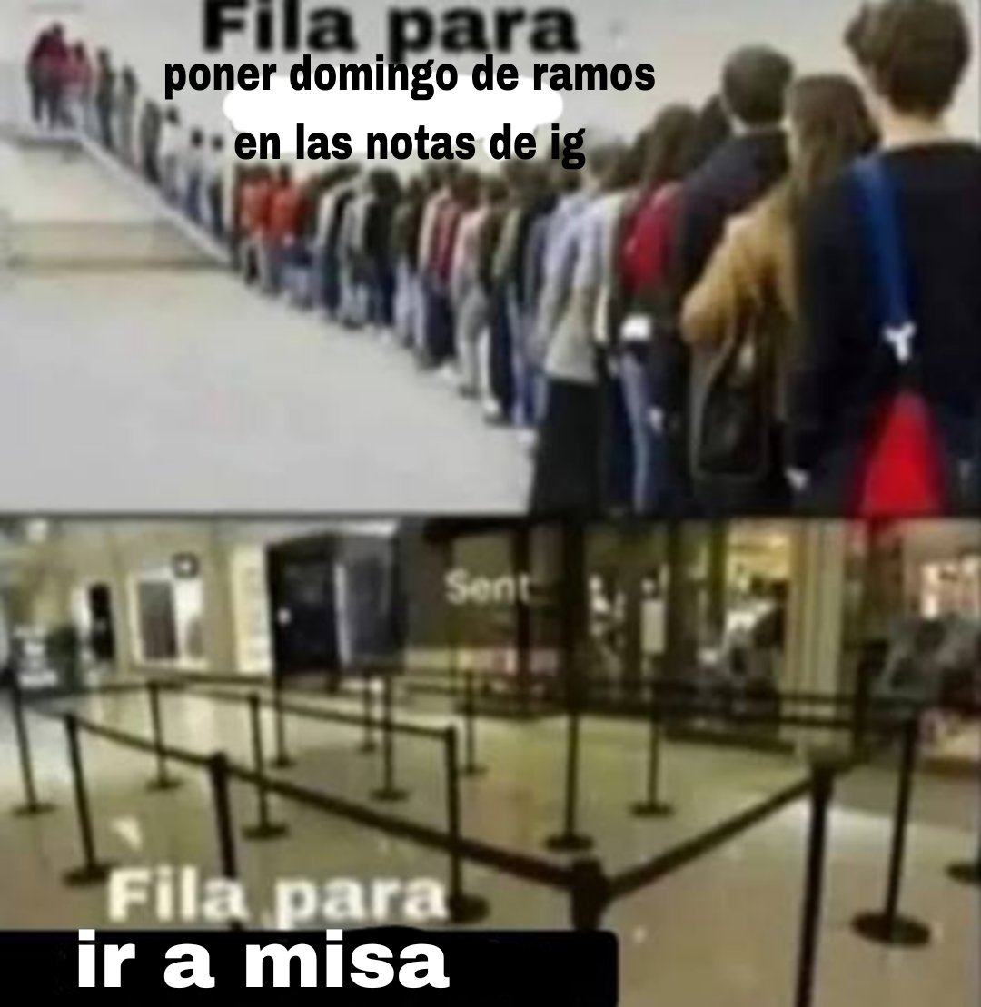 c⭐⭐⭐⭐r tweet media