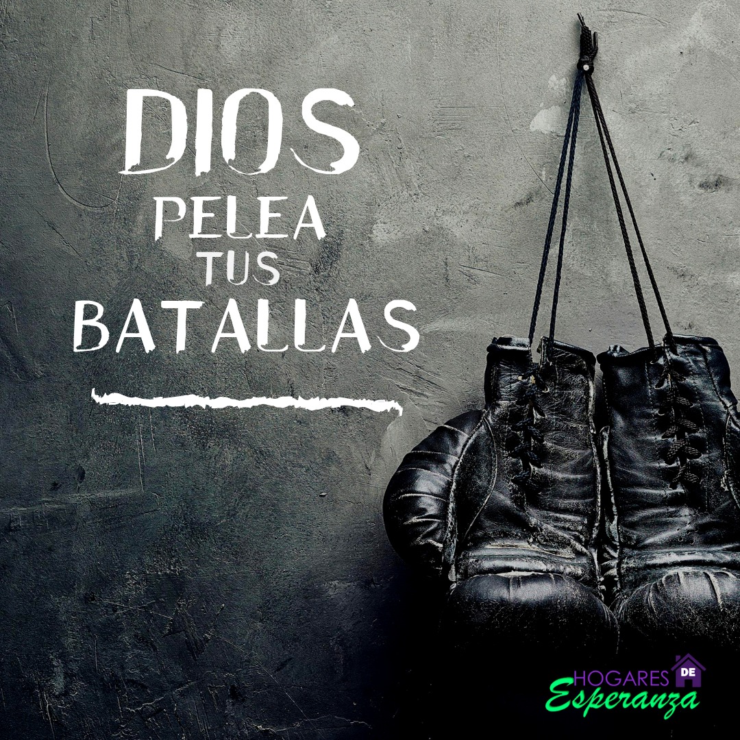 Food Nutrition Bio tweet media