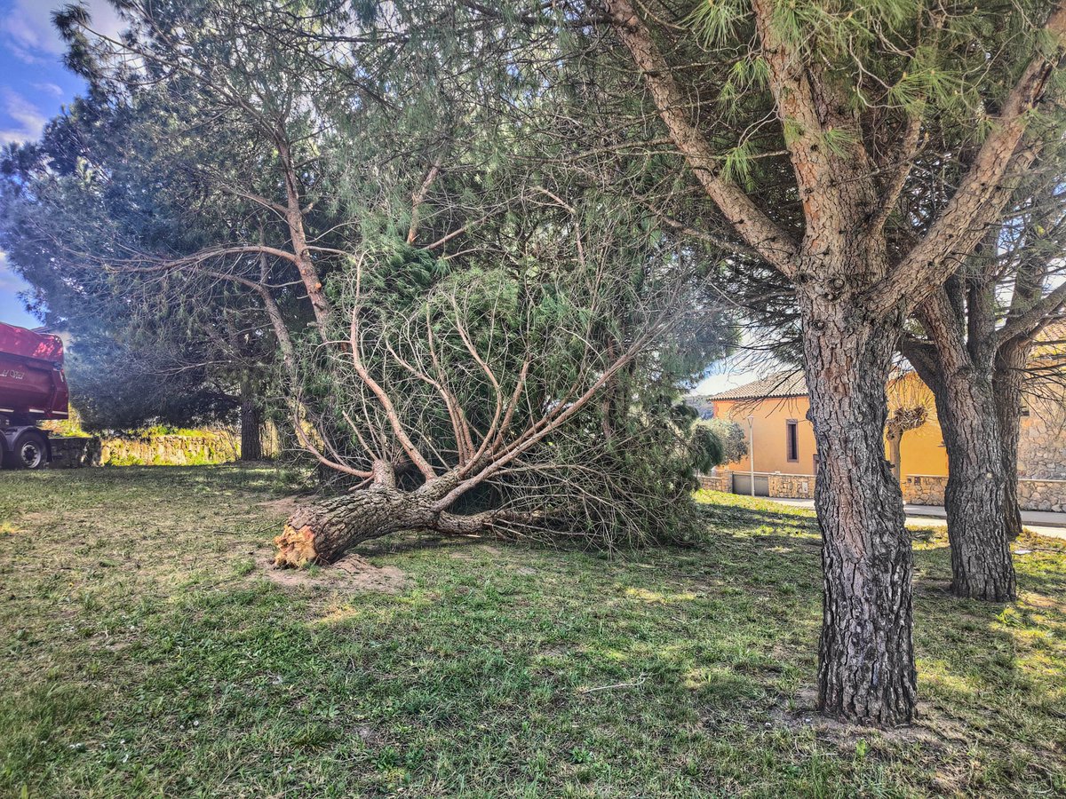 Albert Vàzquez 🏴🇮🇱 tweet media