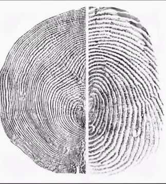 Curiosity tweet media