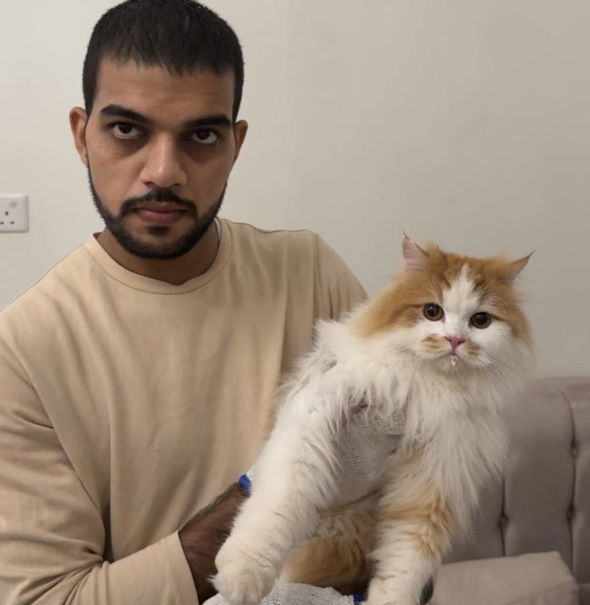 ⭒حصه tweet media