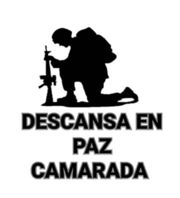 Amalia 🇨🇱🇨🇱 tweet media