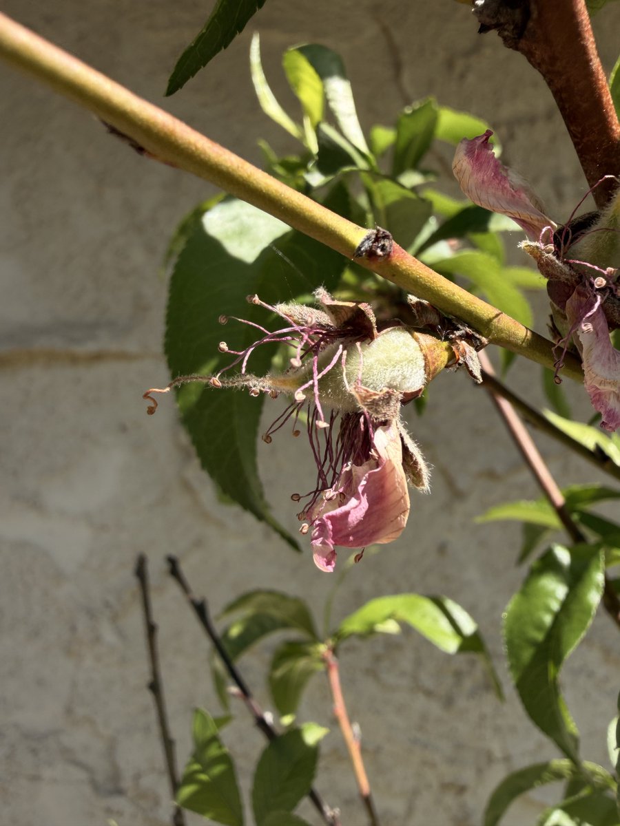 Oatmeal 🥣 tweet media