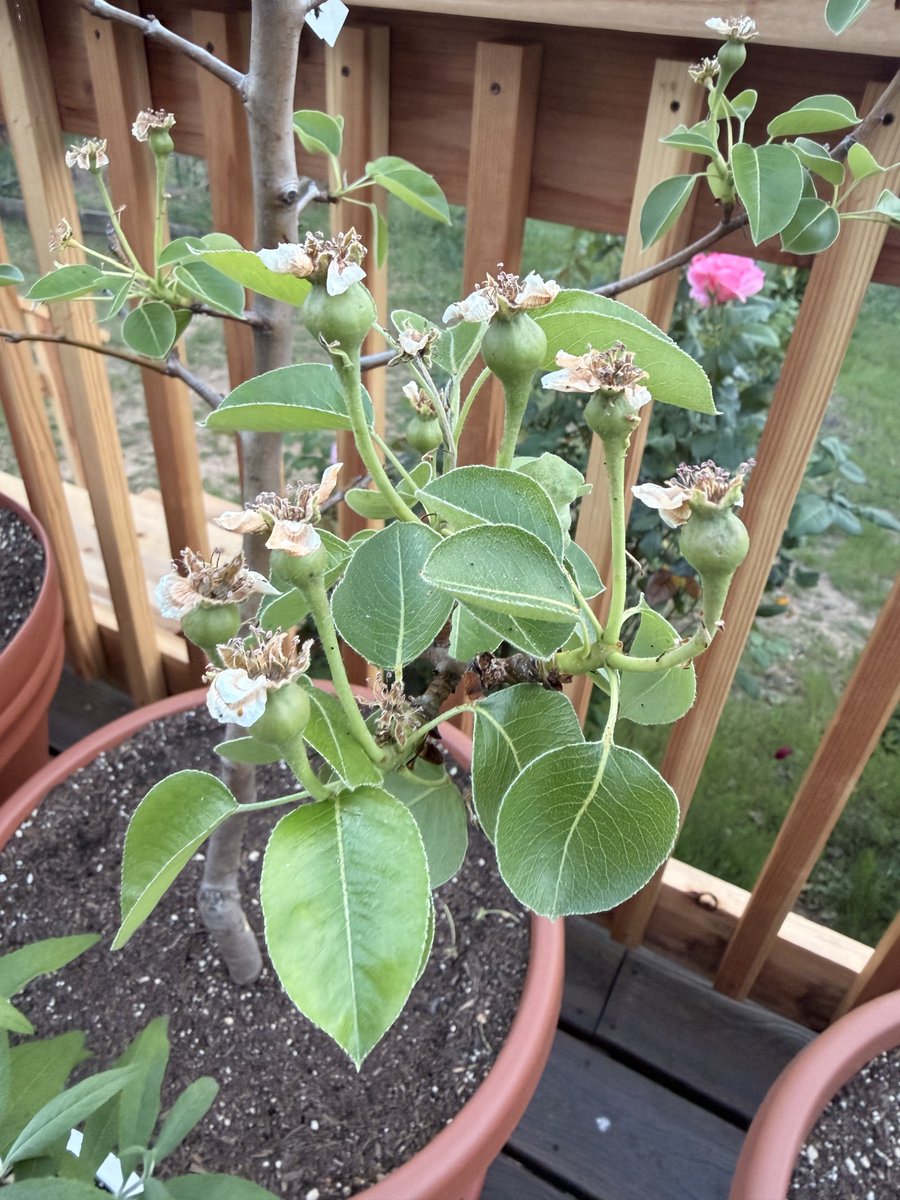 Oatmeal 🥣 tweet media