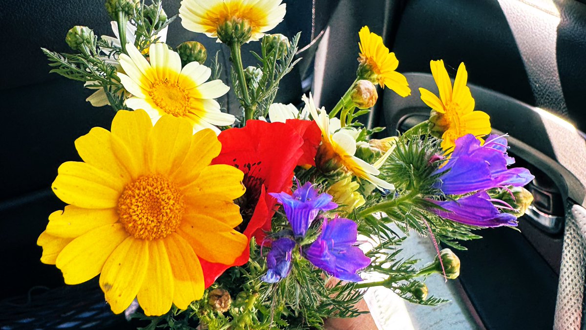 Jenn¡feer, Rabat biggest hater tweet media