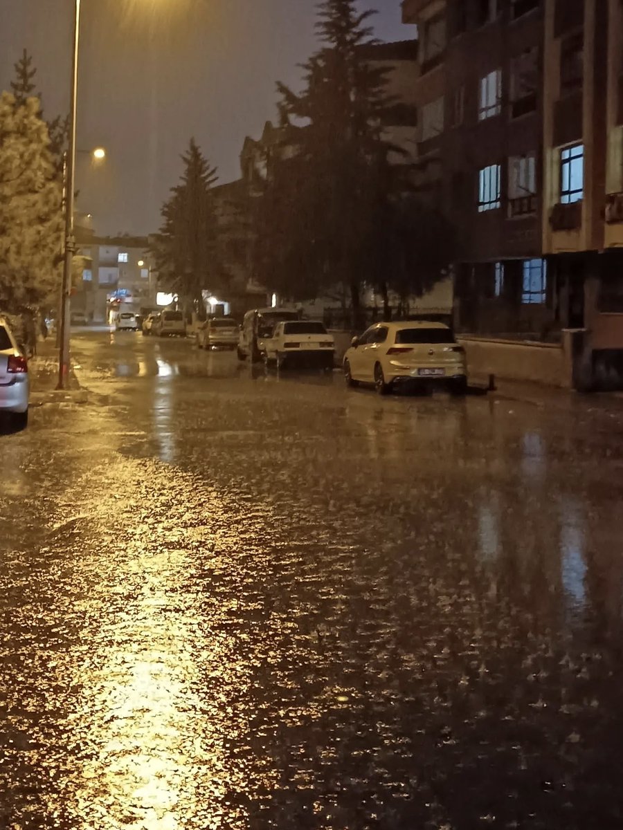 Şimdi bunca karanlığın üstüne
Oturup bir mektup yazmali
İlkbahara ve yaza ,
Hadi renklerini topla da gel 💜