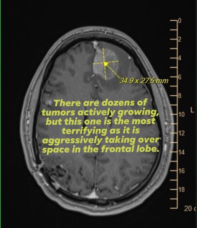 CatusElGato tweet media