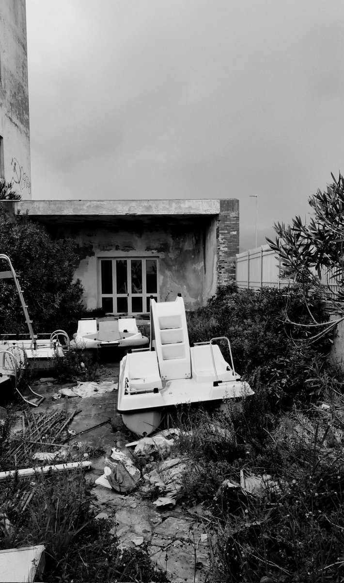 Oh Edo Edo tweet media