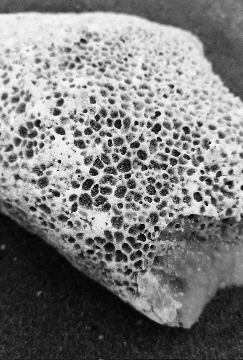 Oh Edo Edo tweet media