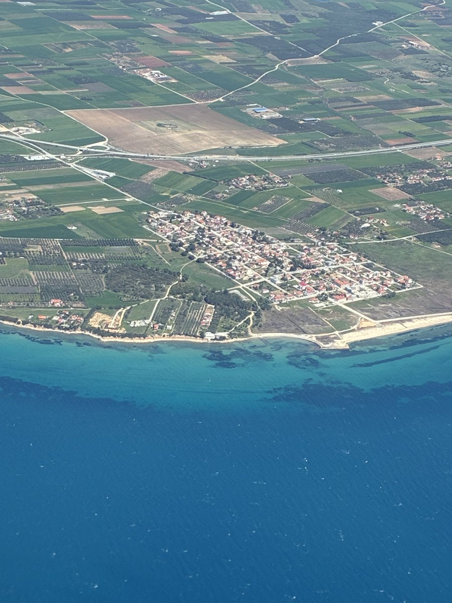 Sea Bass tweet media