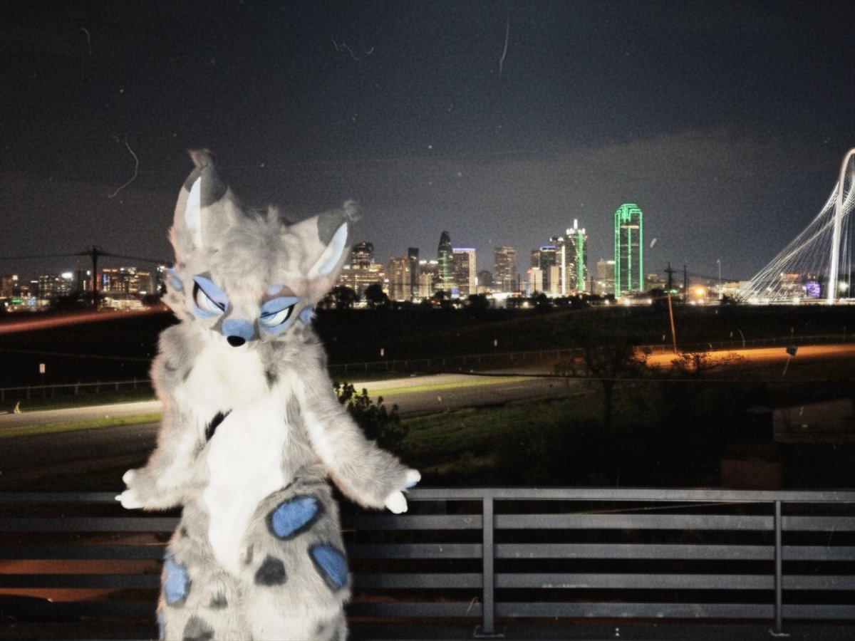 mira 🔜 TFF tweet media