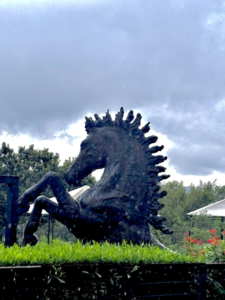 Queen Nalz 💜 tweet media