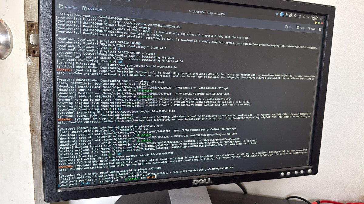 localhost@x tweet media