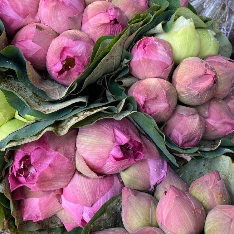 𝙧𝙚𝙞.🍀🌙✨｡˚✧ tweet media