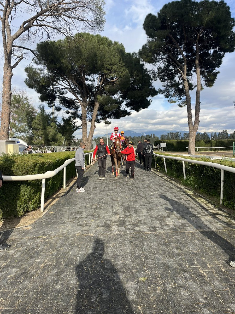 ŞAFAK GÜMÜŞ tweet media