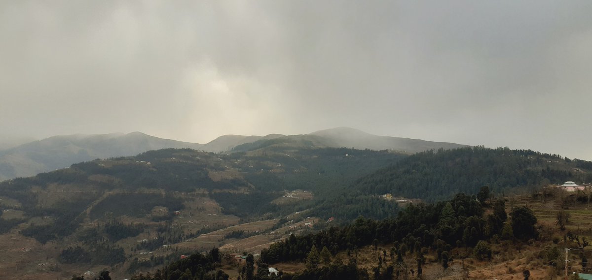 Himalayan Scorpion🦂 tweet media