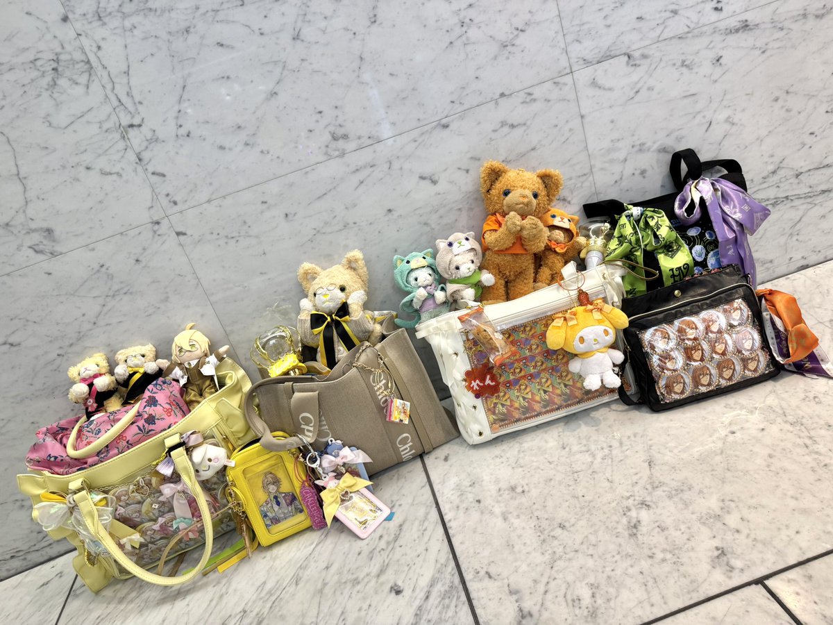 🐈ゆえ🐈 tweet media