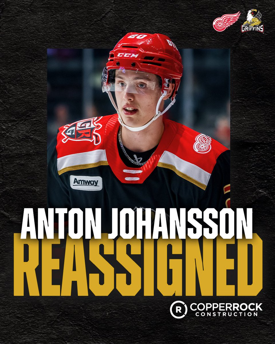 y-Grand Rapids Griffins tweet media