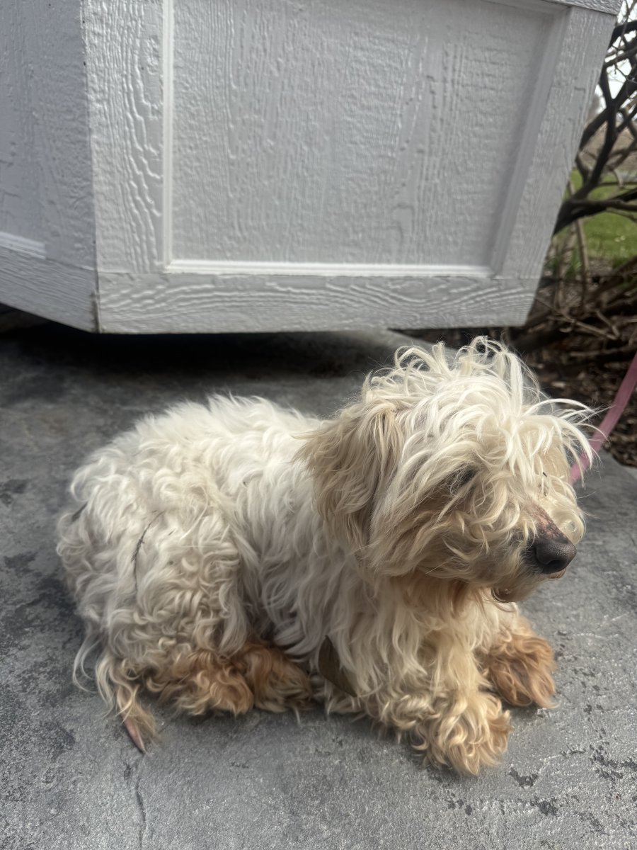 Plainfield,IL Police tweet media