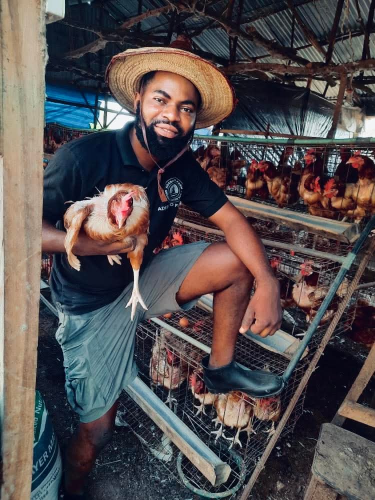 The Nigerian Farmer tweet media