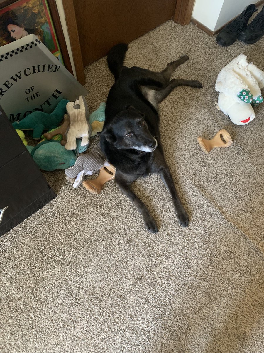 Trevor McNeal tweet media