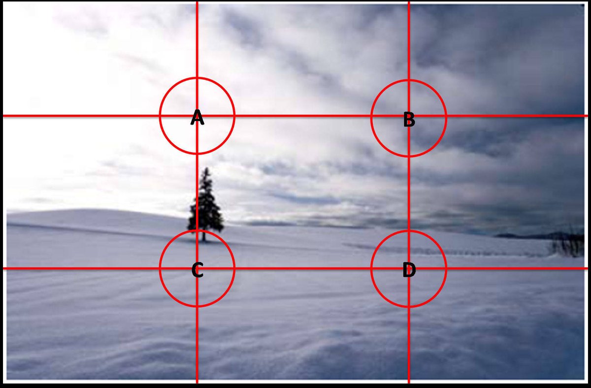 lloyd gonzales tweet media