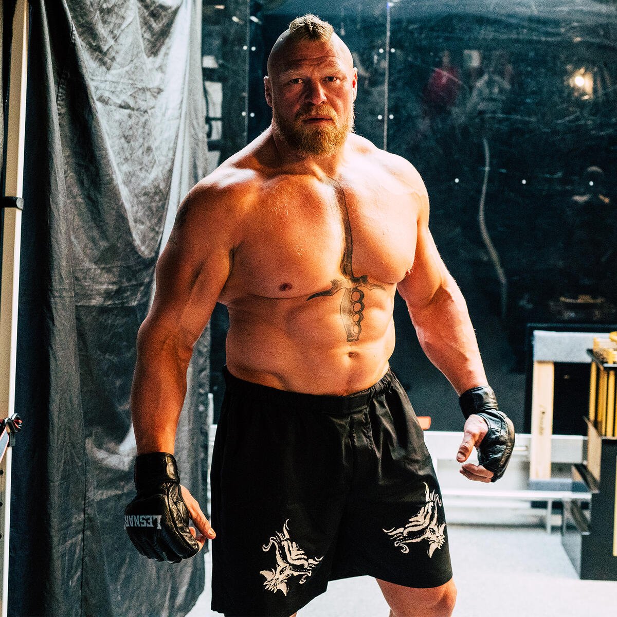 Lesnar World tweet media