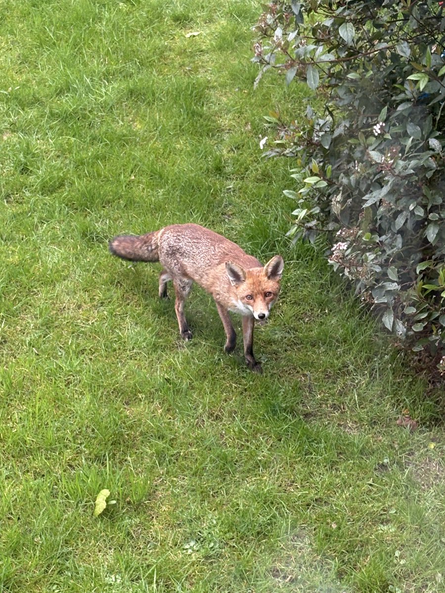 Lee Graham tweet media