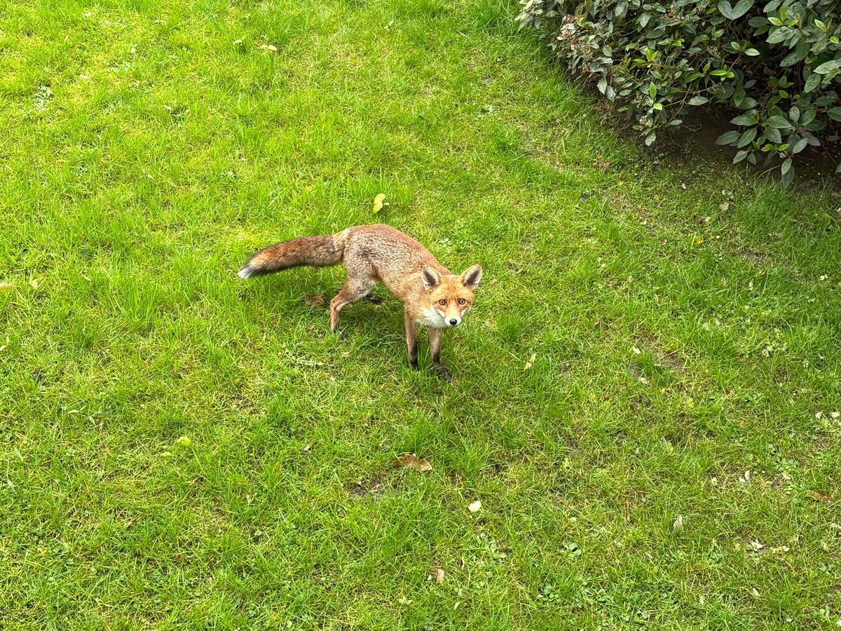 Lee Graham tweet media