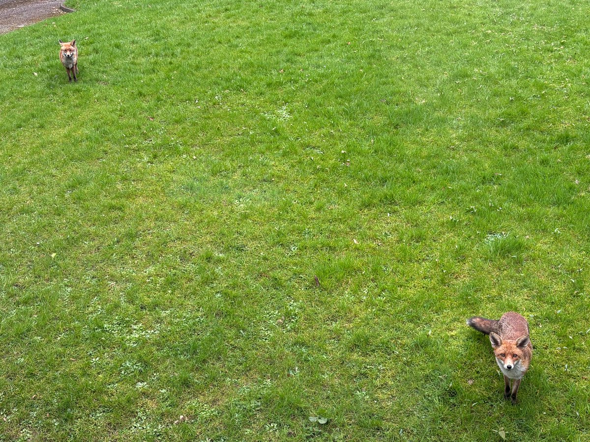 Lee Graham tweet media