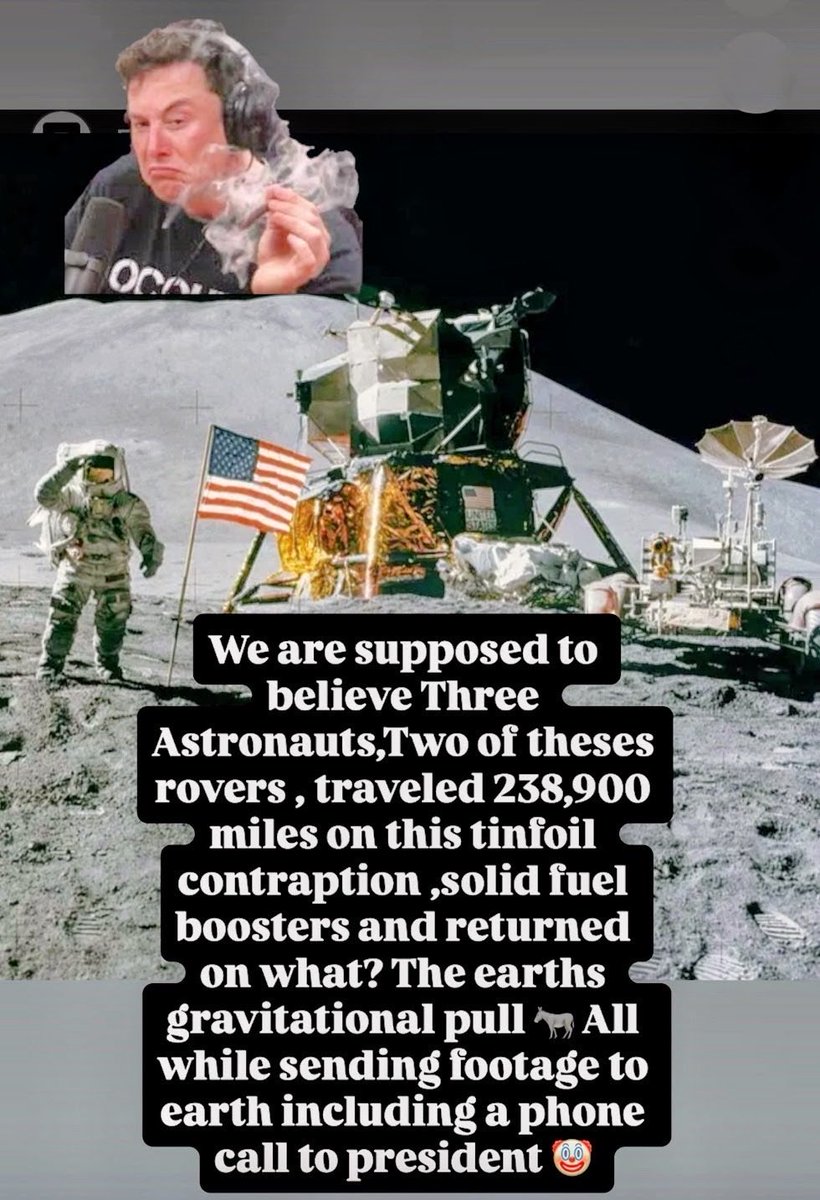 Nacho Cheeps tweet media