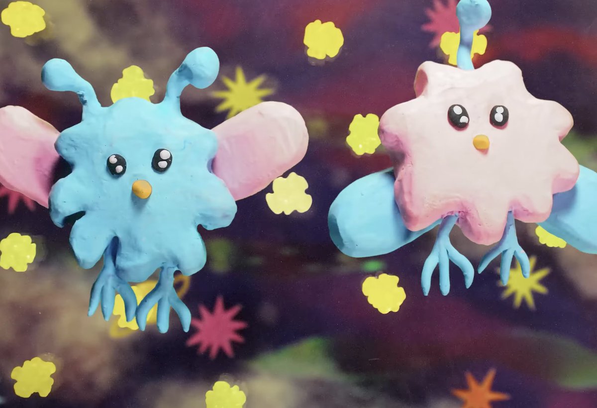 pímwα⋆ tweet media