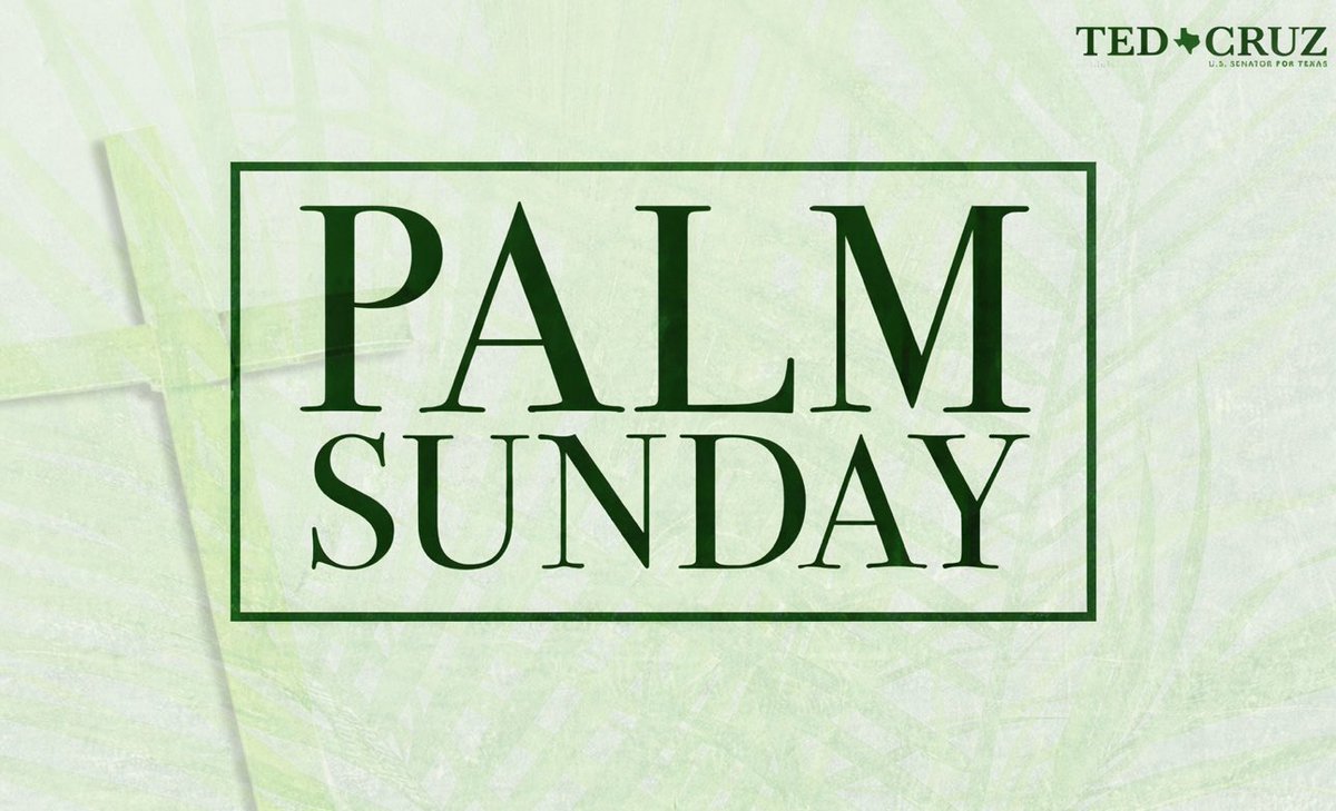 Senator Ted Cruz tweet media