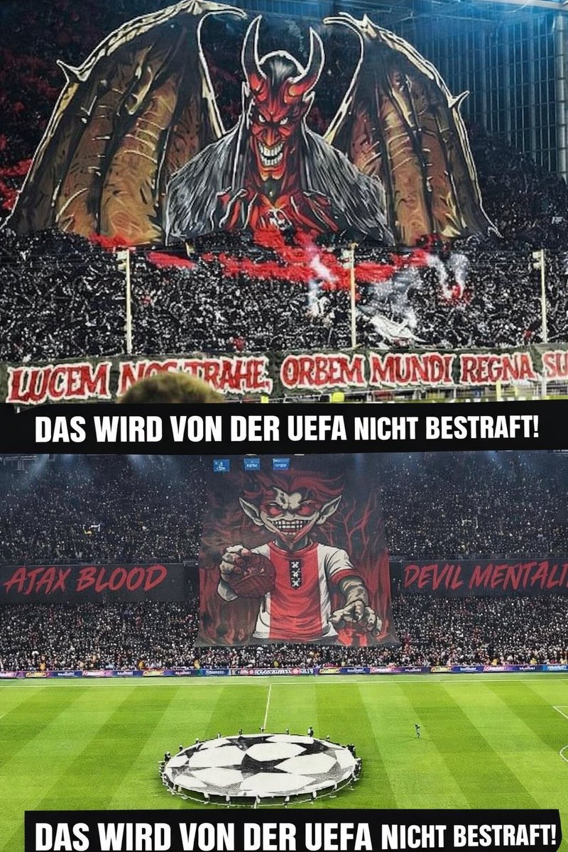 Sandro Subotic tweet media