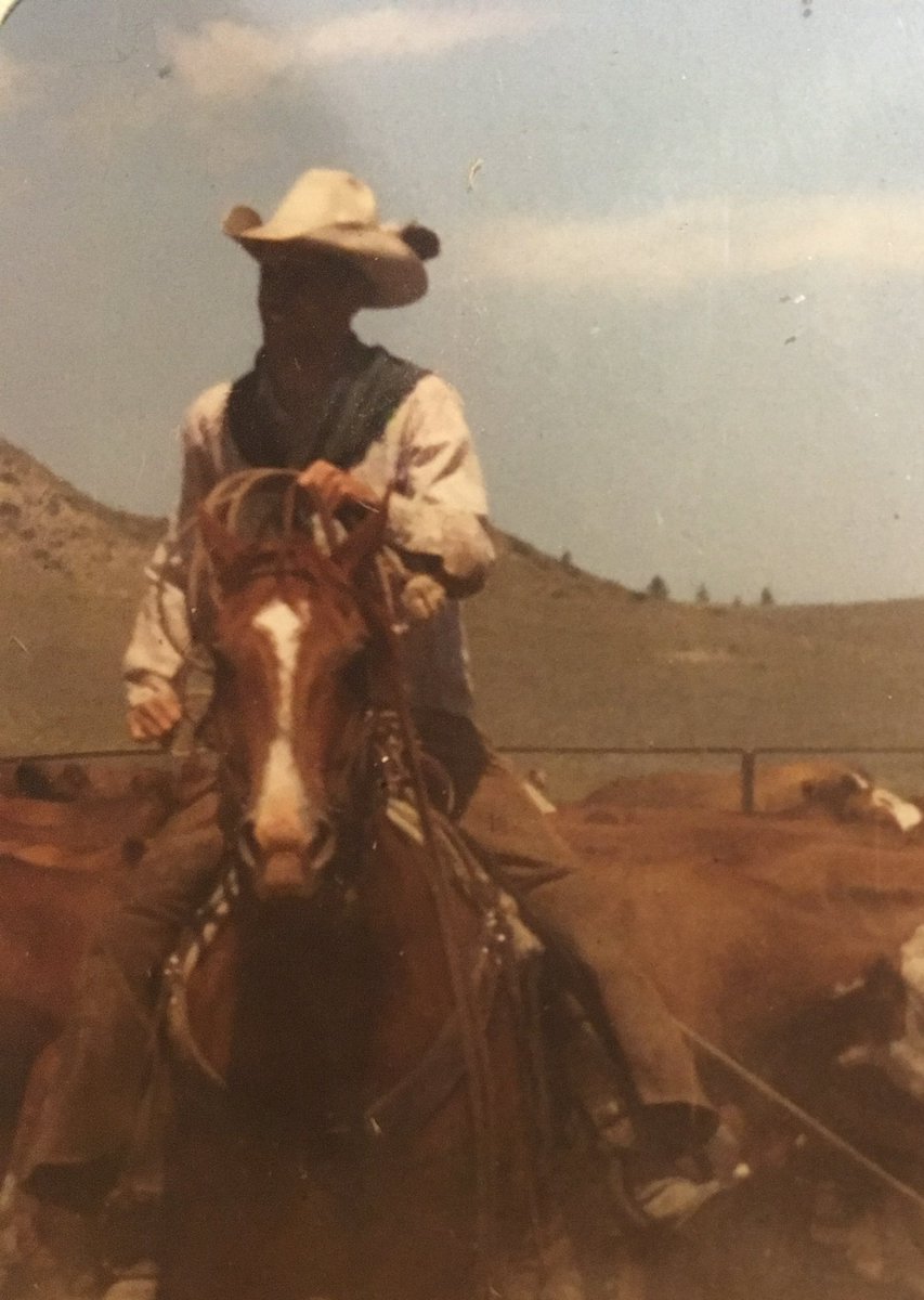 Mao_Content 🌵 tweet media