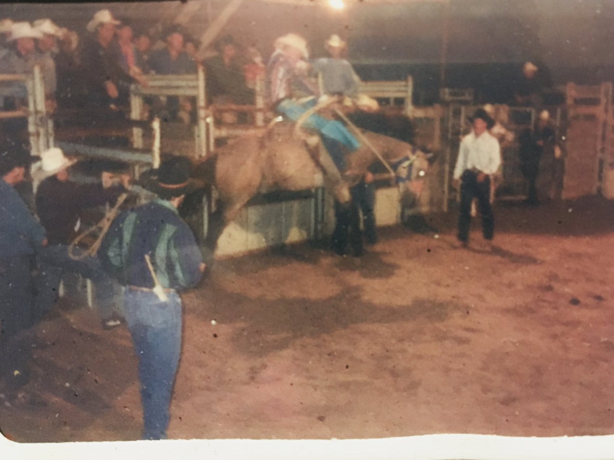 Mao_Content 🌵 tweet media