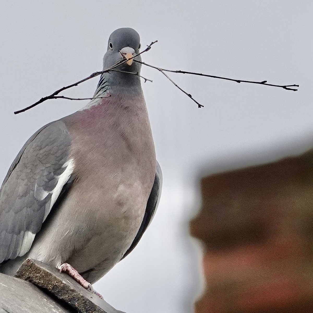 Ray Tranter tweet media