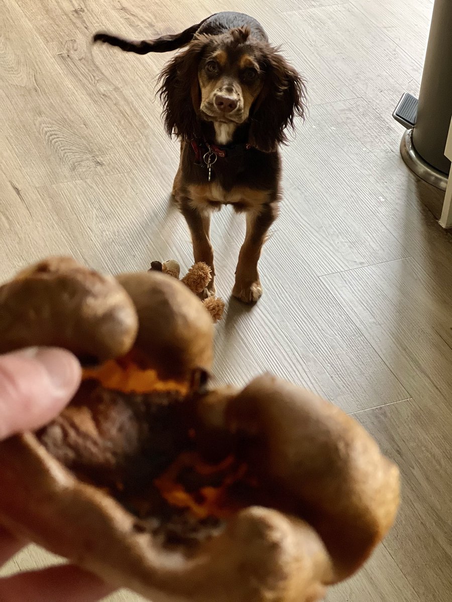 ch3fb4zza's tweet photo. Knocking out these Yorky puds today using the air fryer…
Pretty good stuff 
👌👨‍🍳👍😃
#Sunday
#airfryer #yorkshirepudding #easy #savemoney #chef https://t.co/9JjkO7X3JM
