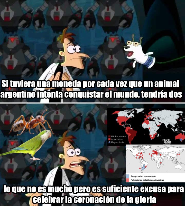 Shitpost Aleatorio tweet media