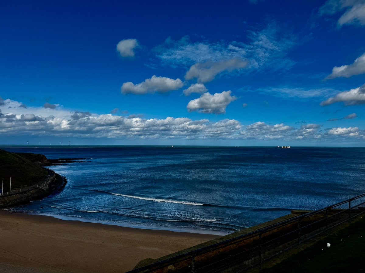 Every Last Station tweet media