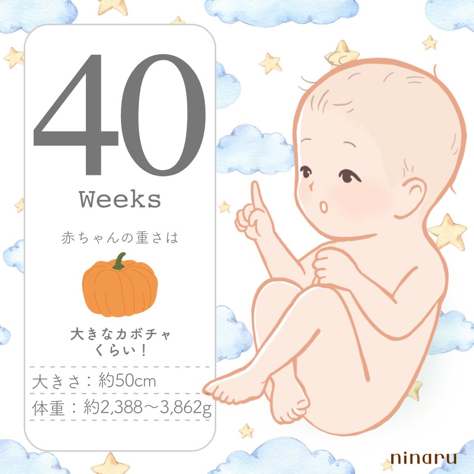 なぺき tweet media