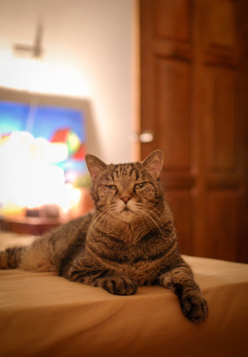 Lotus Design 🇰🇭 Cambodia tweet media