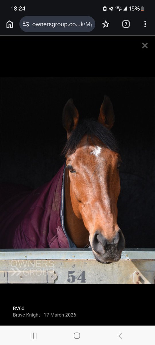 Ben Torode tweet media