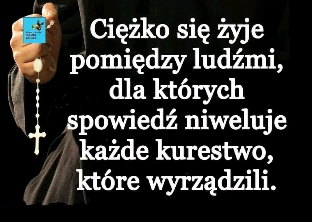 Wolny kot 🐈🇵🇱🇪🇺 tweet media